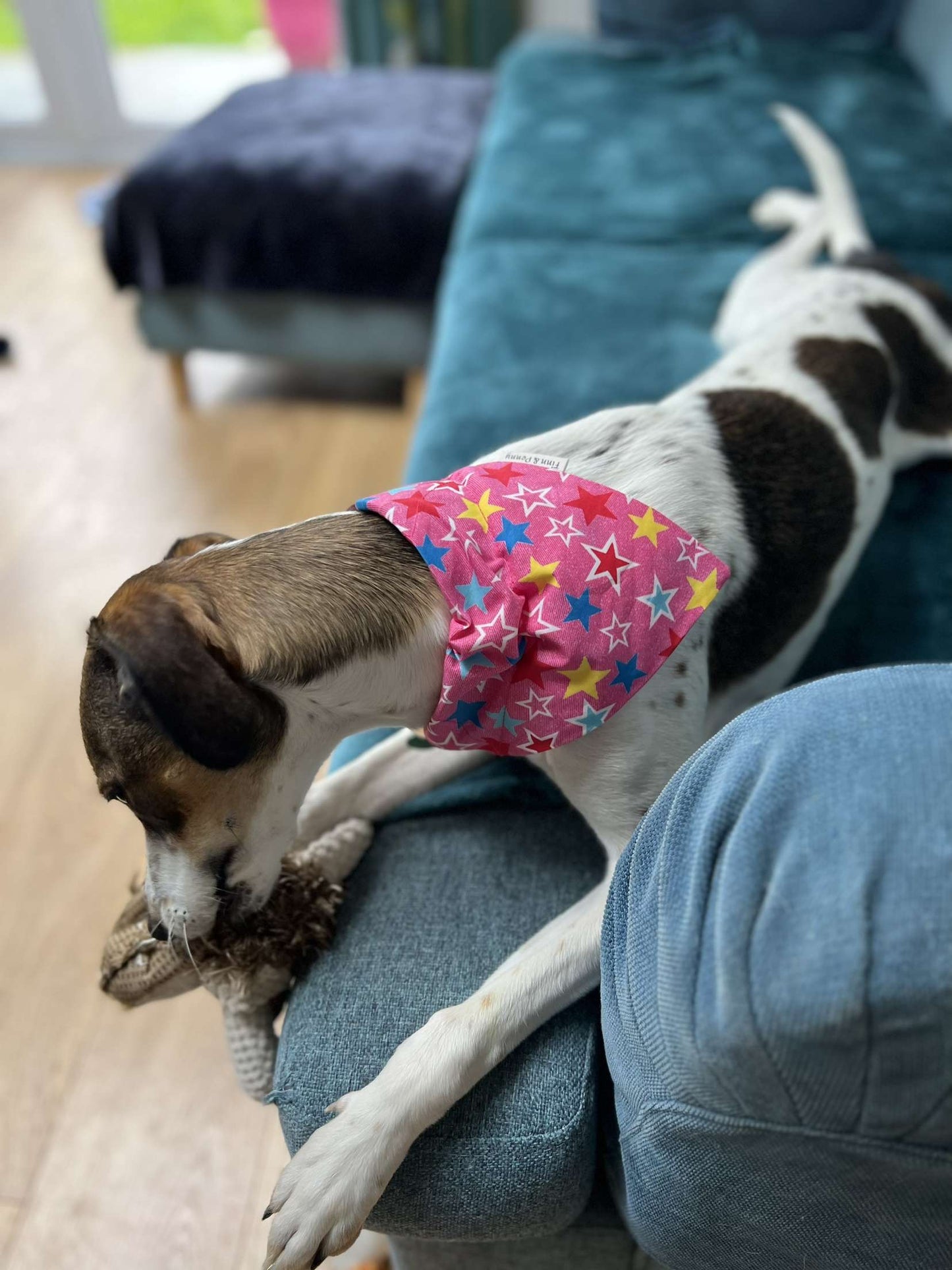 Pink Star Dog Bandanna’s