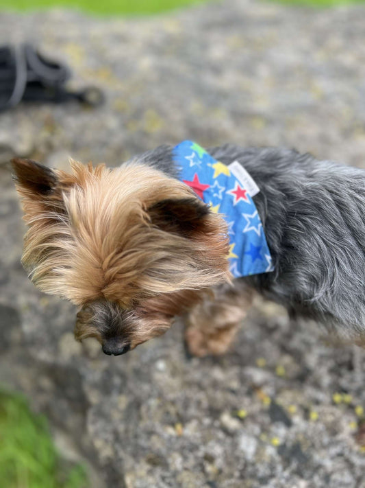 Blue Star Dog Bandanna’s