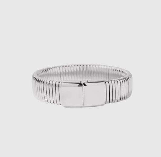 Silver Clasp Bracelet