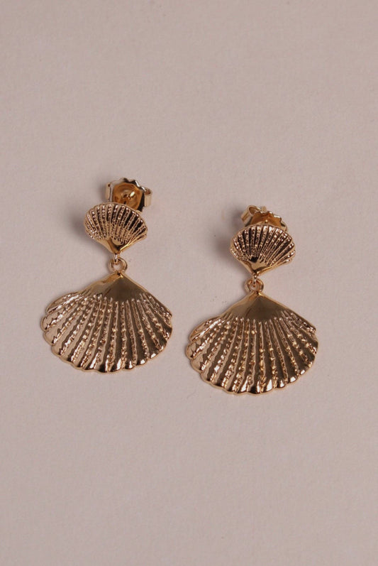 Gold Shell Earrings