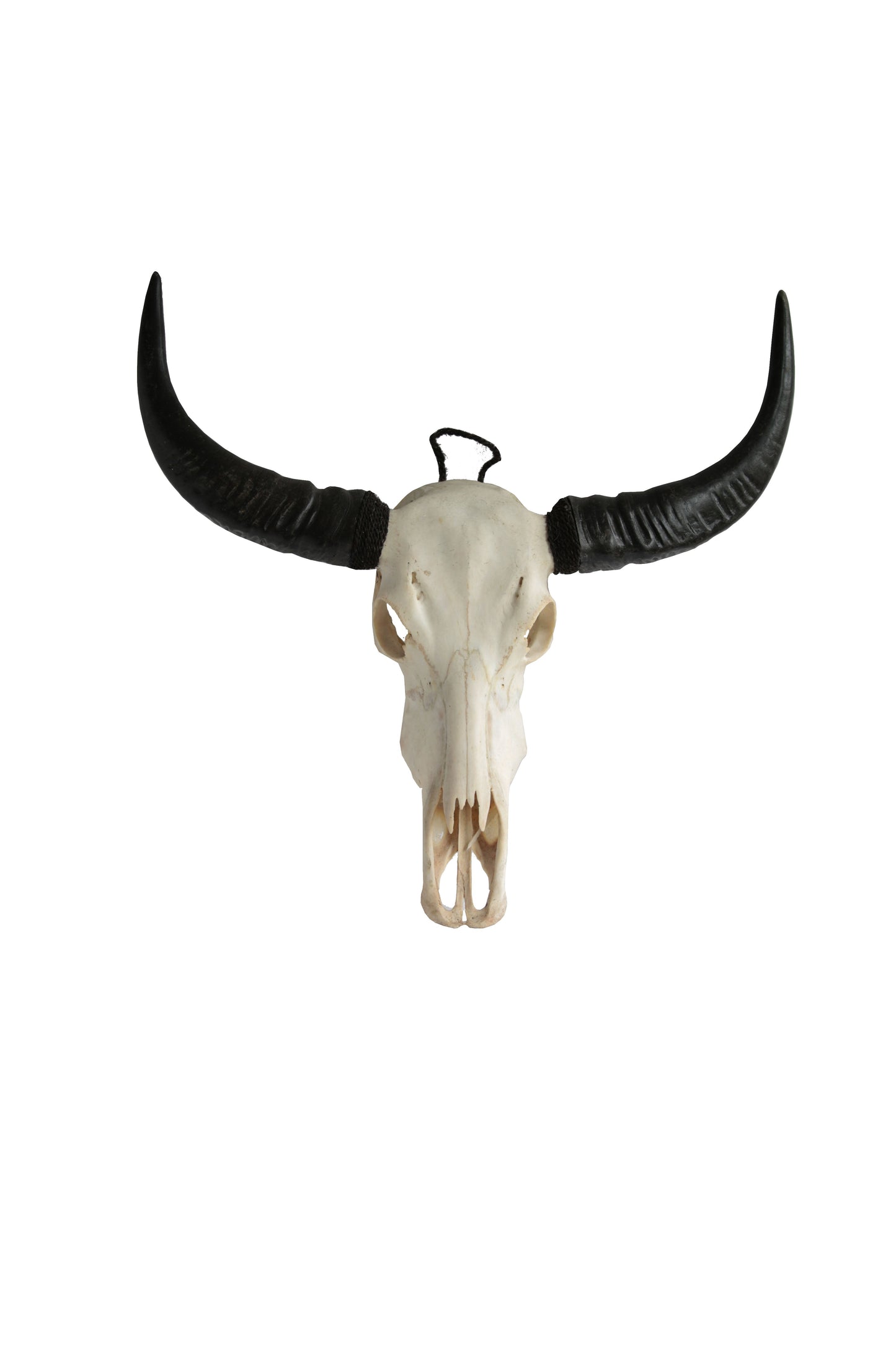 RESIN BULLS HEAD WITH STAND LARGE