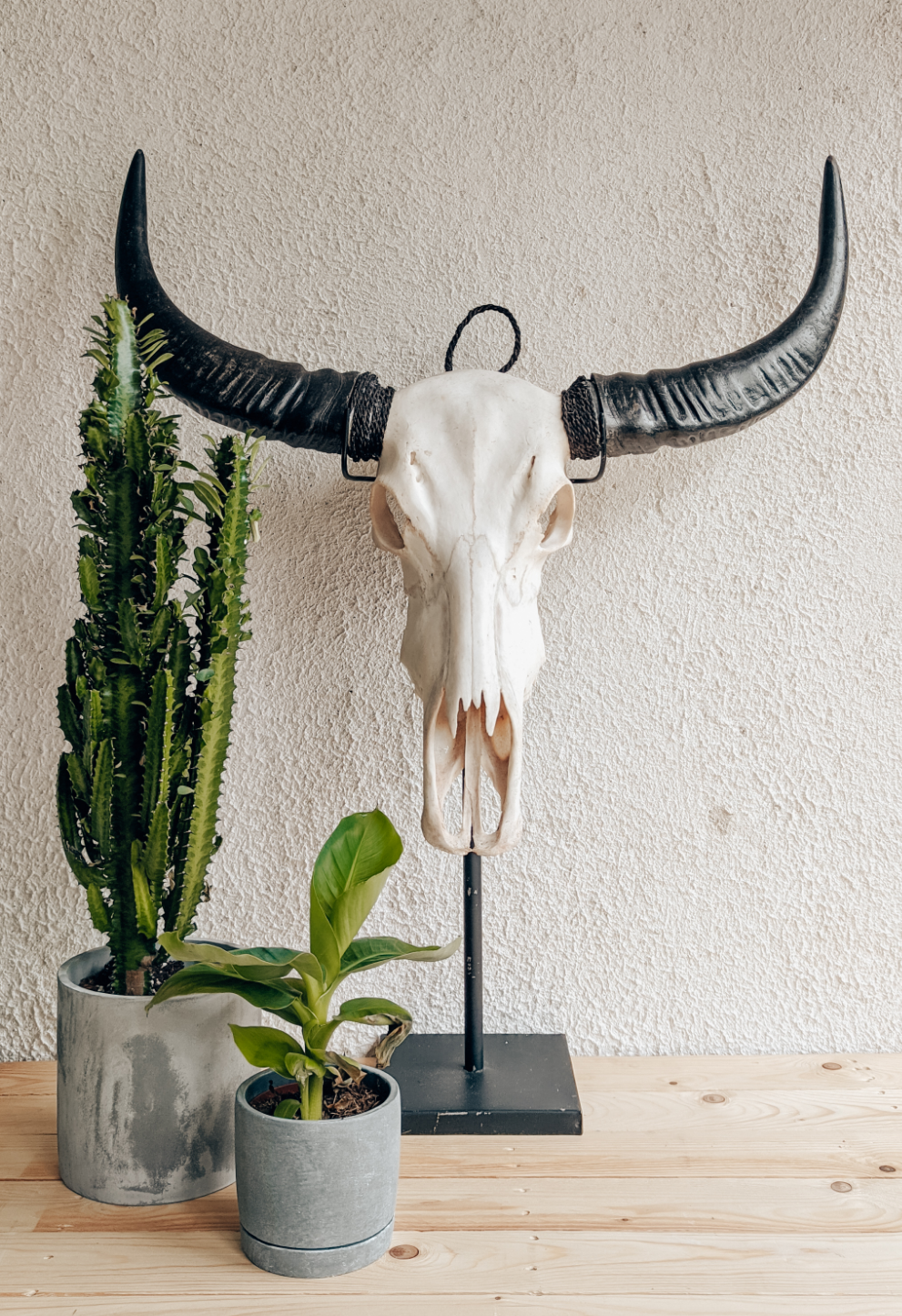 RESIN BULLS HEAD WITH STAND LARGE